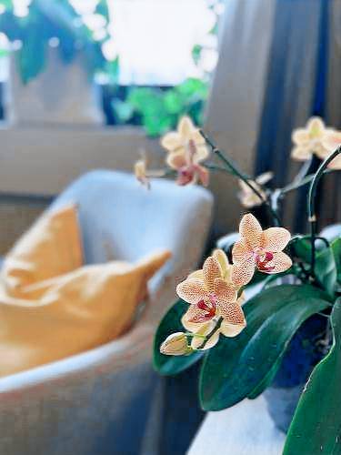 Bed & Breakfast Cocconato