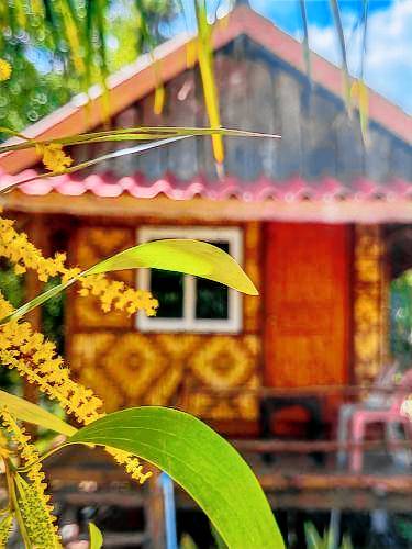 Pepee mini cafe ปีปีมินิ คาเฟ่ &โฮมสเตย์ in Krabi