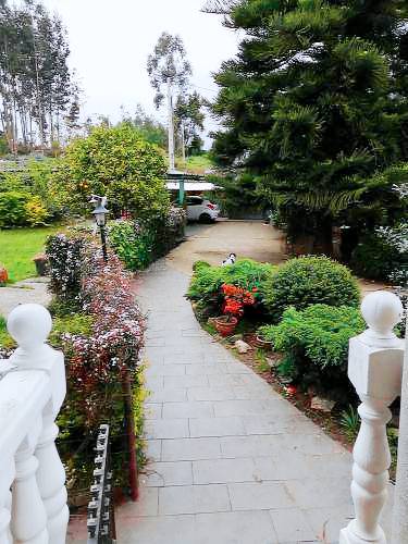 Bed & Breakfast Sada