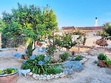 60 m² Villa