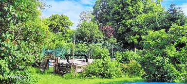 Appartement 50 m²