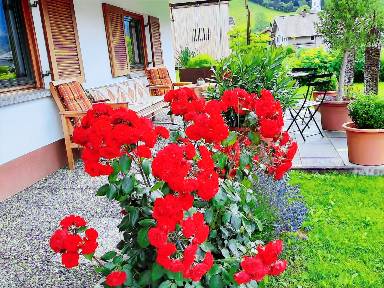Appartement 45 m²