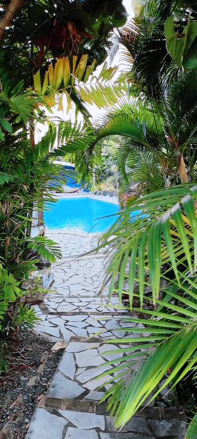Appartement 50 m²