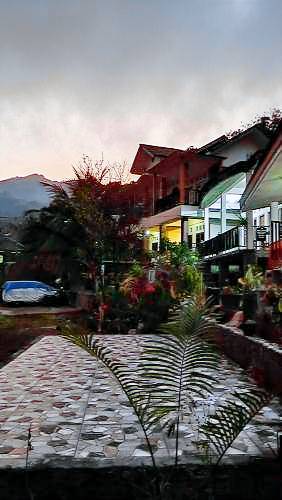 foto1