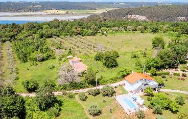 58 qm Ferienwohnung mit Pool für 5 Gäste mit Hund in Tar, Porec