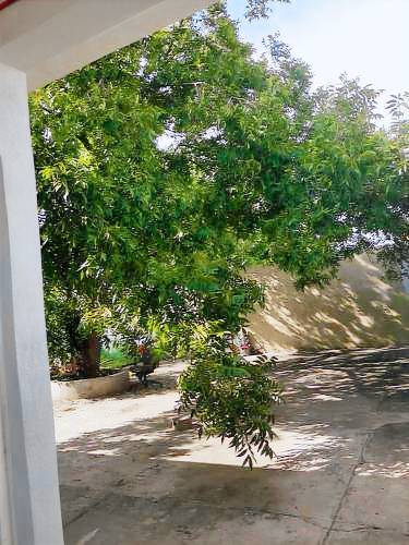 foto4
