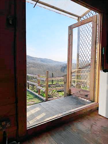 Lodge with jacuzzi & yard | Pets are welcome — photo 4