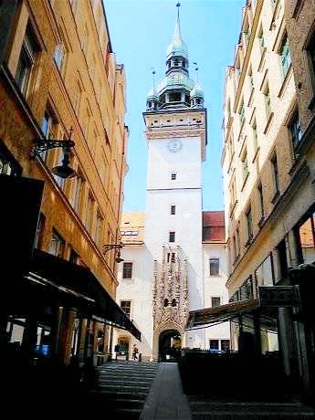 Dům Brno-Řečkovice a Mokrá Hora