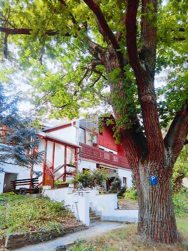 Ferienhaus  Plauen