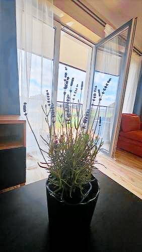 Apartamento Wyspa Sobieszewska