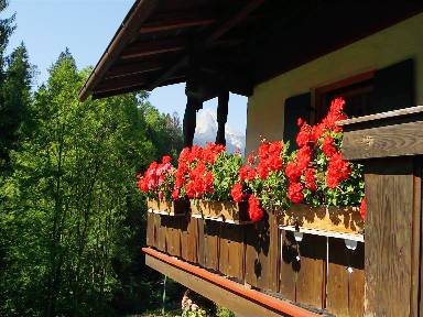 40 m² Ferienwohnung