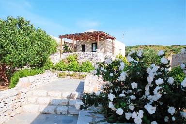 45 m² House