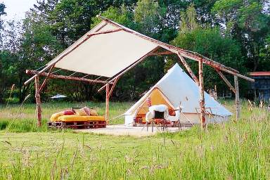 Tente 20 m²