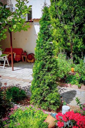 Rental apartment with terrace & yard — photo 5