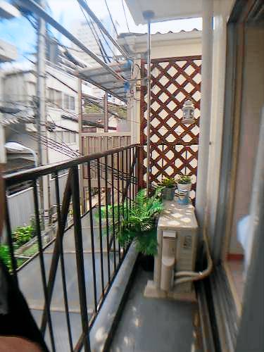 foto2