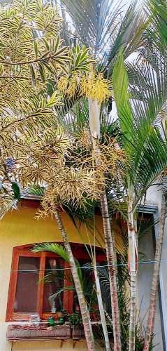 Pousada (B&B) Barão Geraldo