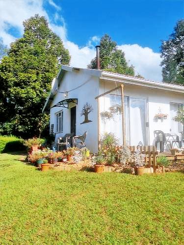The Cottage on the Corner
