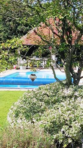 Bed and breakfast Godshill