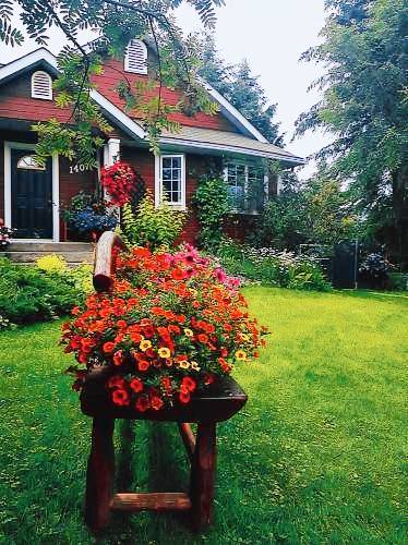 Bed and breakfast Golden