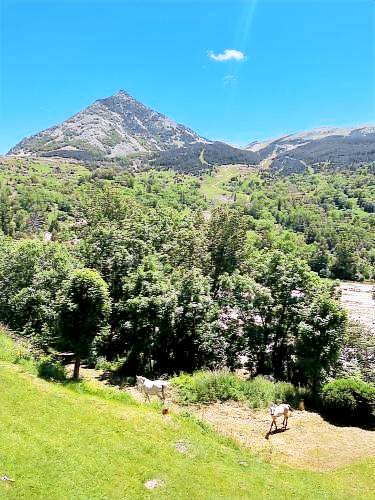 Apartamento Benasque
