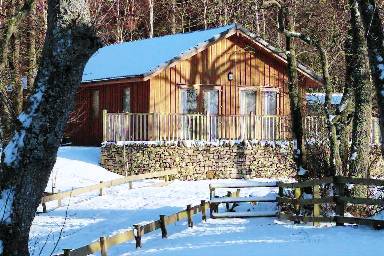 Cabina