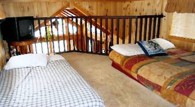60 m² Cabin