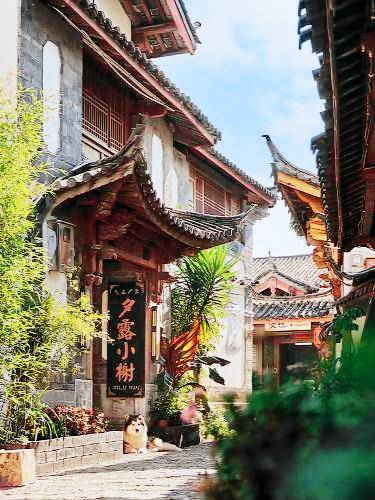 Bed & Breakfast Gucheng