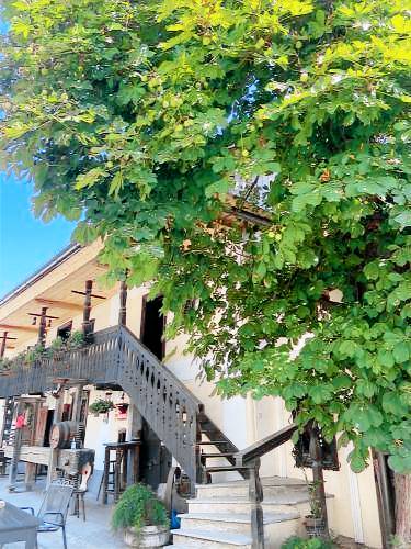Apartma  Moravče