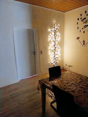 foto4