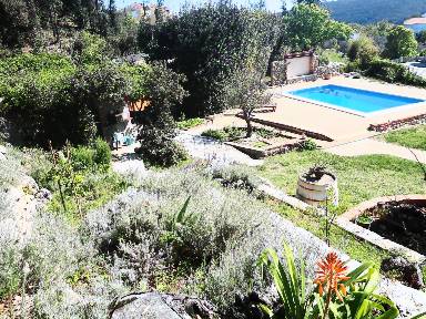 Schönes Apartment mit beheiztem Pool, Terrasse und Grill | Meerblick | Strand in der Nähe | Haustiere sind willkommen