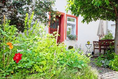 Casa de 50 m²