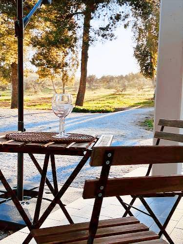 Farm with yard, patio & BBQ in Piombino