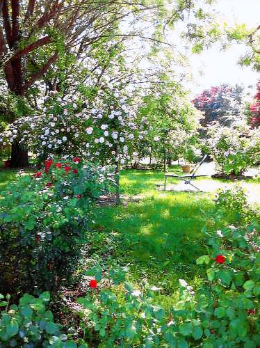 Bed & Breakfast  Carpi