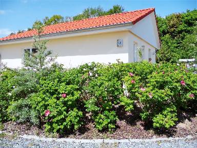 Huis 65 m²
