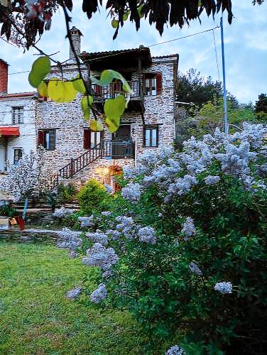 Vila Velika