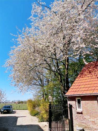 Bed & Breakfast Oosterbeek