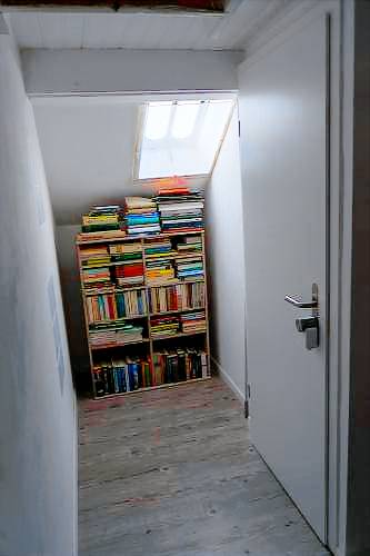 foto11