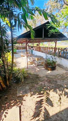 foto4