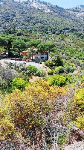 Villa Isola del Giglio