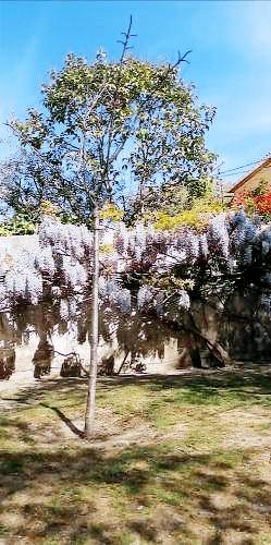 Chambre d'hôtes  Caumont-sur-Durance