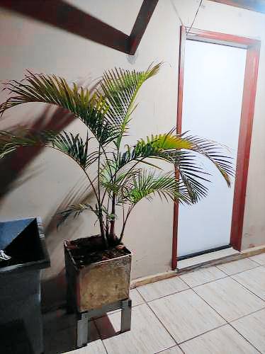 Pousada (B&B) Holambra
