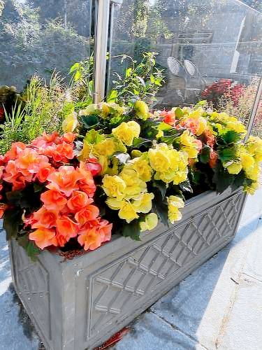 Bed & Breakfast  Cork