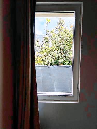 foto7
