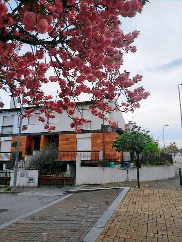 Casa Chaves