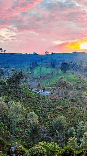 Mad & Nomad Backpackers Hostel in Coonoor