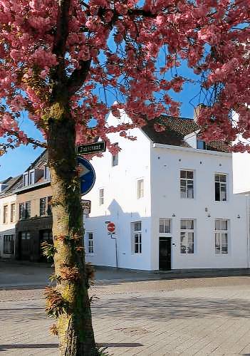 Villa Maastricht