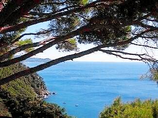 Villa Portofino