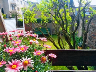 Appartement 30 m²