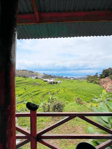 foto12