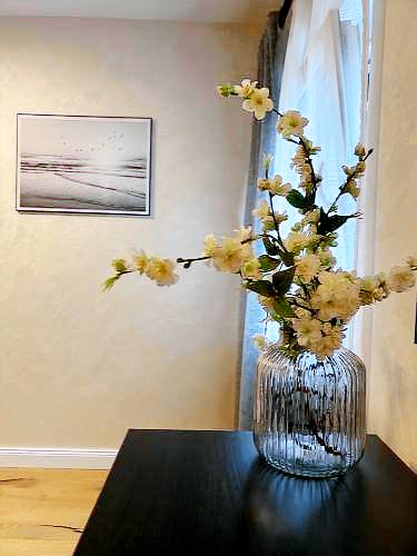 Apartment mit Hotelservice Bad Salzuflen